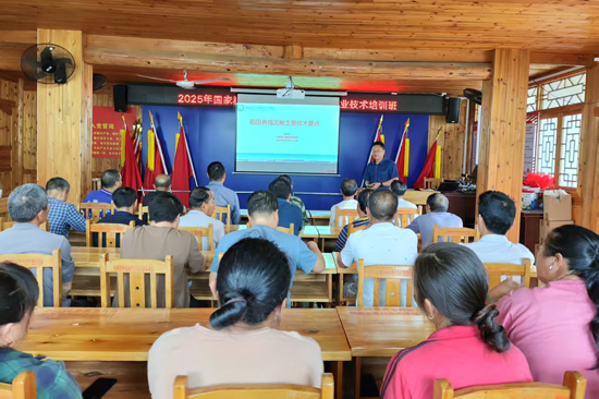 开展稻田养殖泥鳅培训。广西农业工程职业技术学院供图